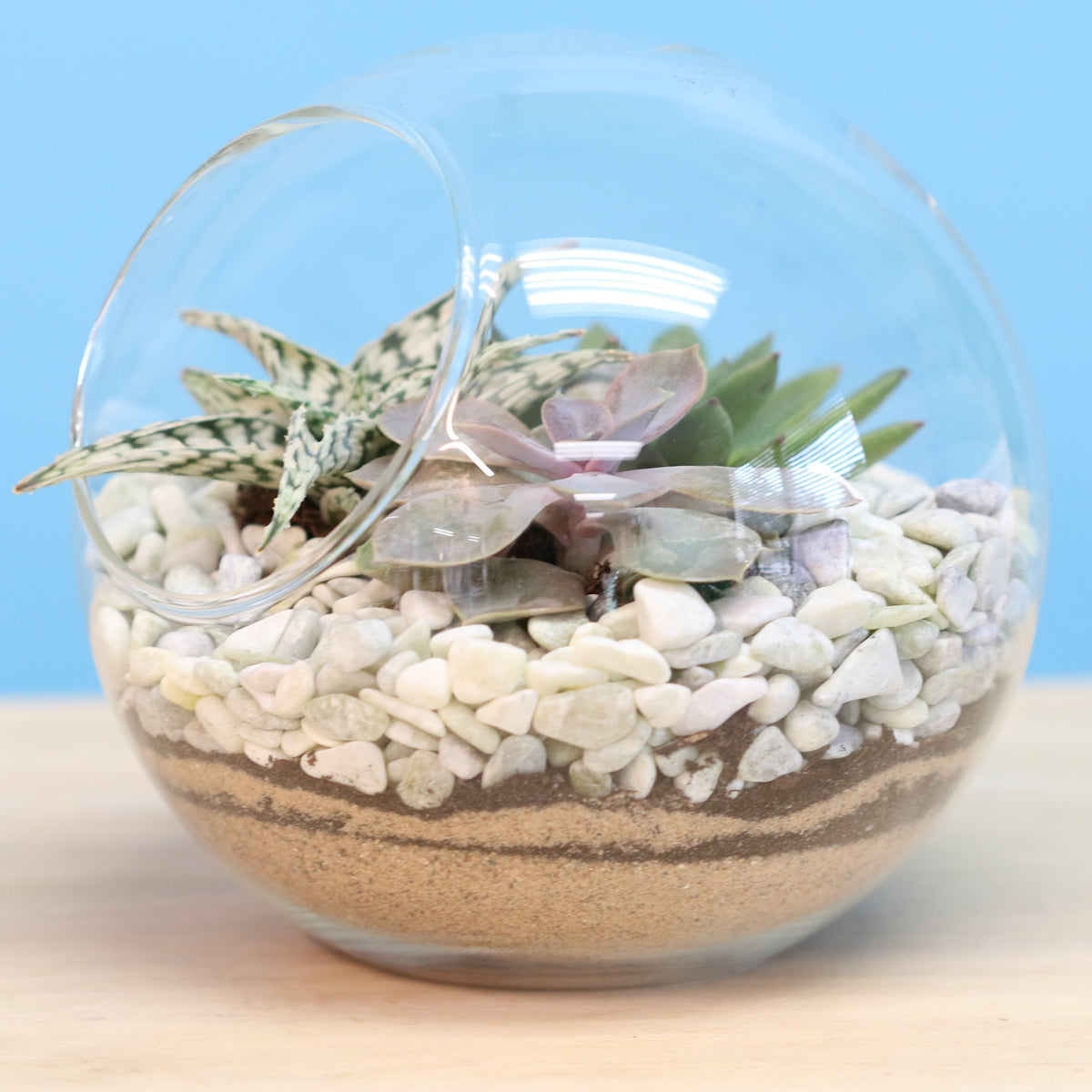 Terrarium Workshop - Thursday, April 16th 2026 at 6:00 pm