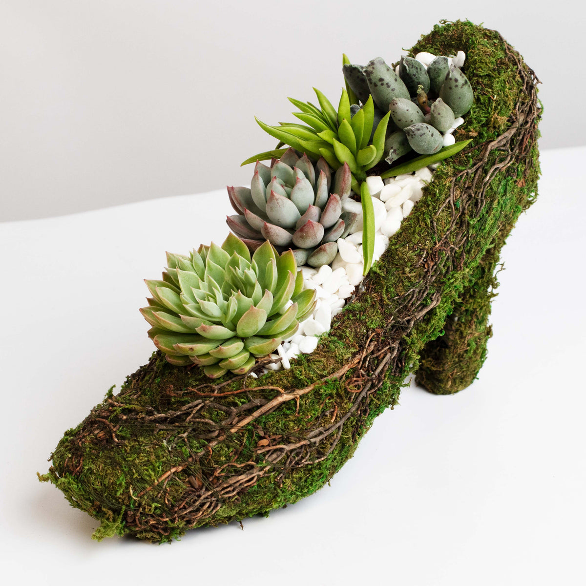 Stiletto Moss Planter Kit