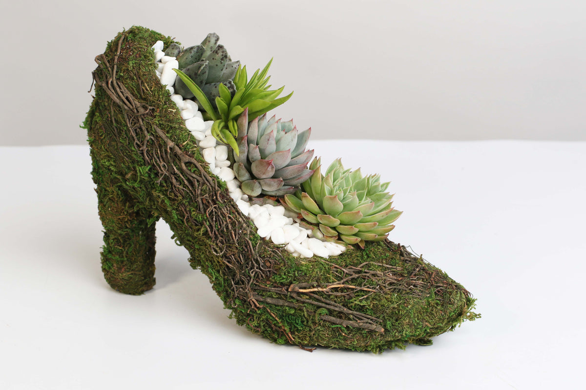 Stiletto Moss Planter Kit