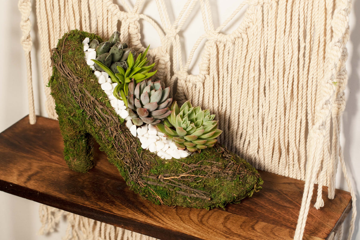 Stiletto Moss Planter Kit