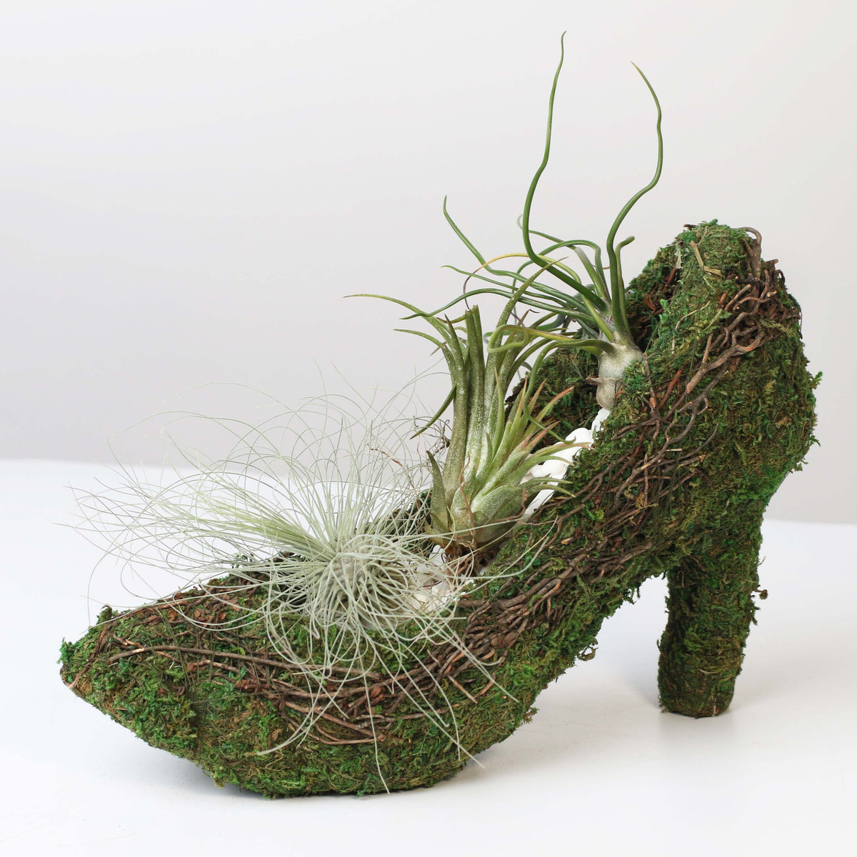 Stiletto Moss Planter Kit