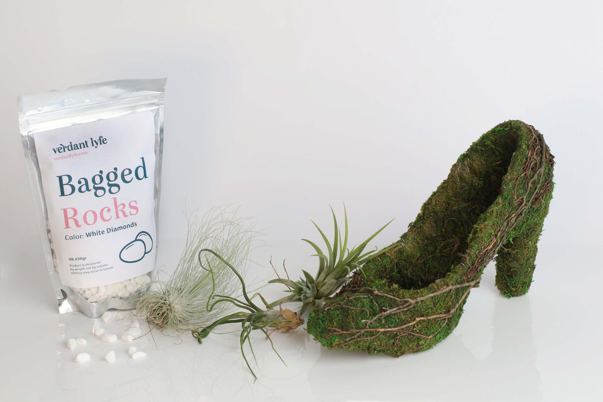 Stiletto Moss Planter Kit