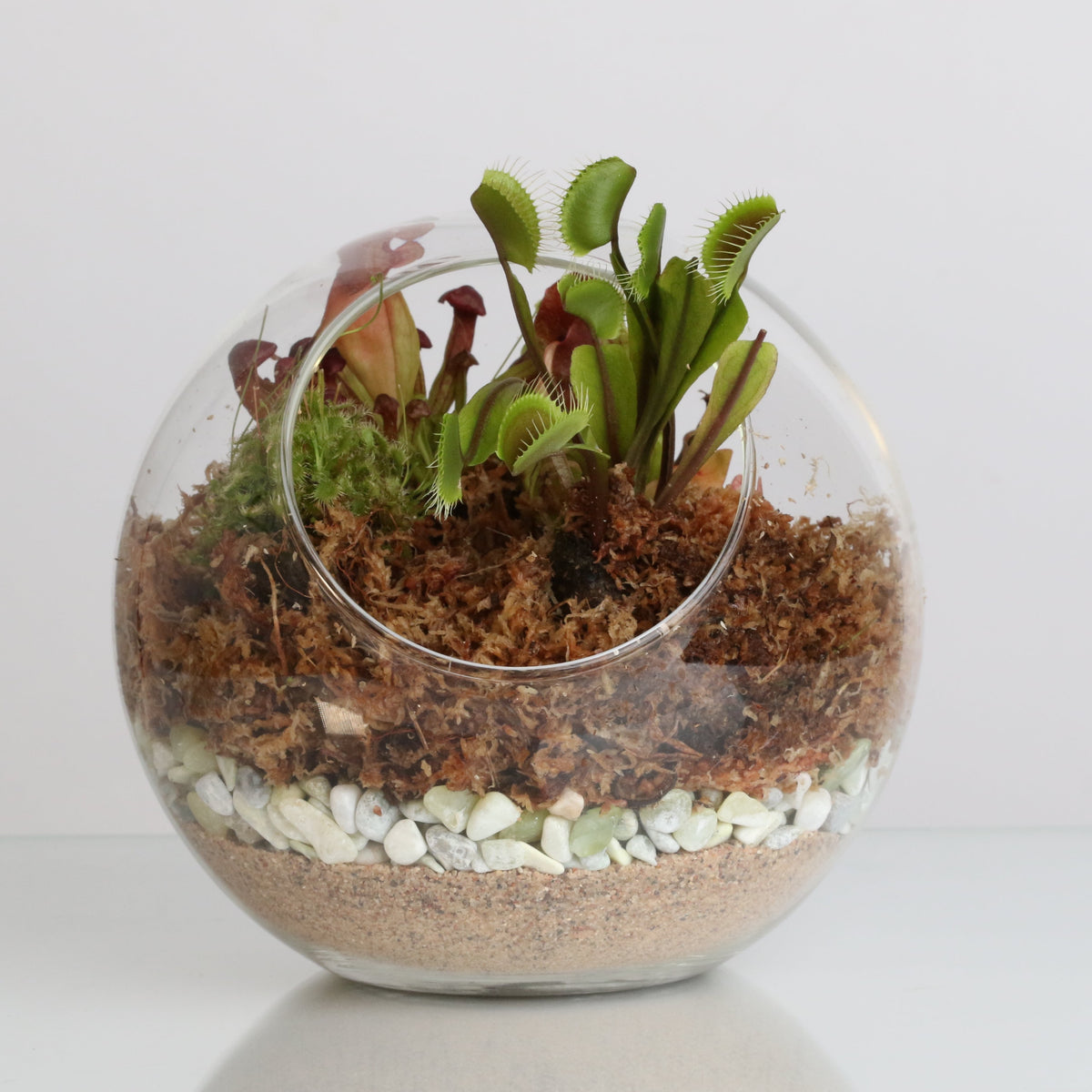 Terrarium Workshop - Thursday, April 16th 2026 at 6:00 pm