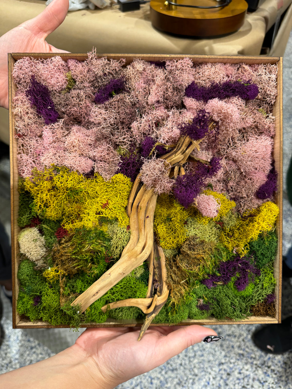 Moss Art Frame Workshop - Thursday, November 20th, 2025 at 6:00 pm