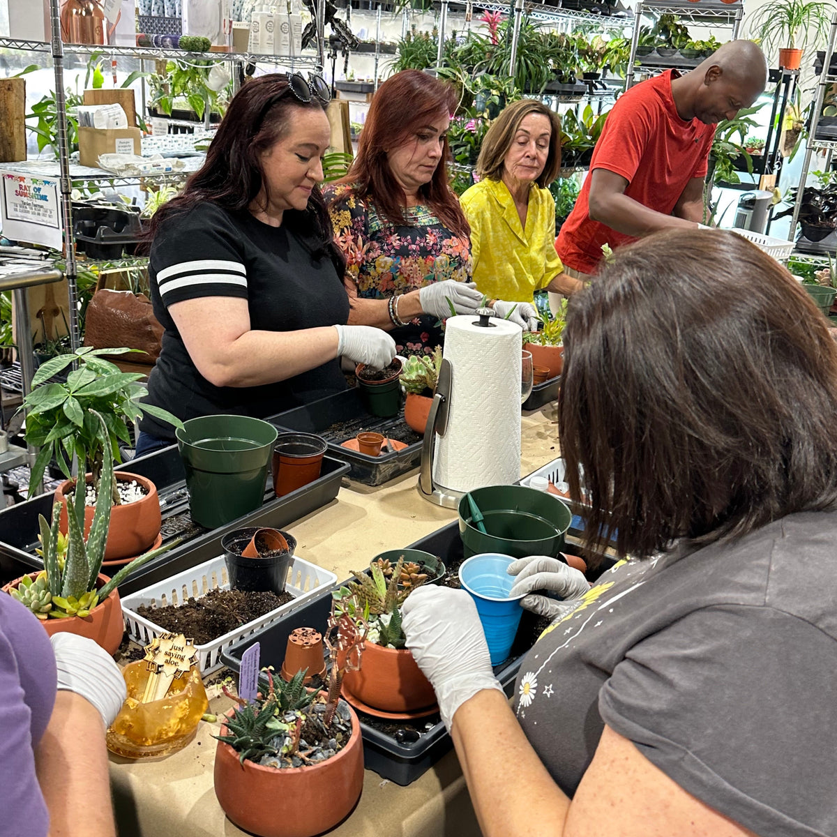 Succulent Arrangement Workshop - Thursday, January 29th 2026, at 6:00 pm