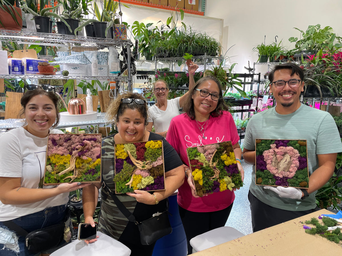 Moss Art Frame Workshop - Thursday, November 20th, 2025 at 6:00 pm