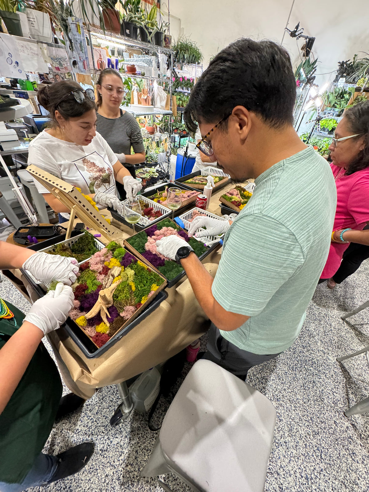 Moss Art Frame Workshop - Thursday, November 20th, 2025 at 6:00 pm