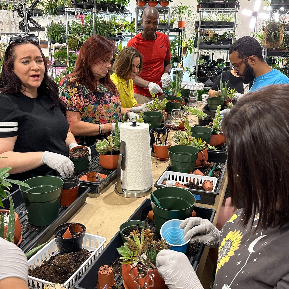 Succulent Arrangement Workshop - Thursday, January 29th 2026, at 6:00 pm