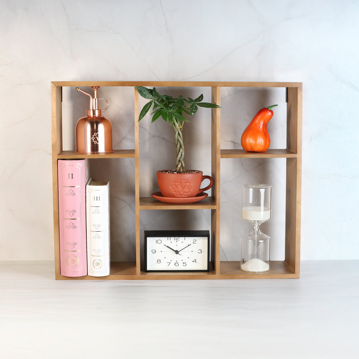 Lucky Braided Money Tree Plant