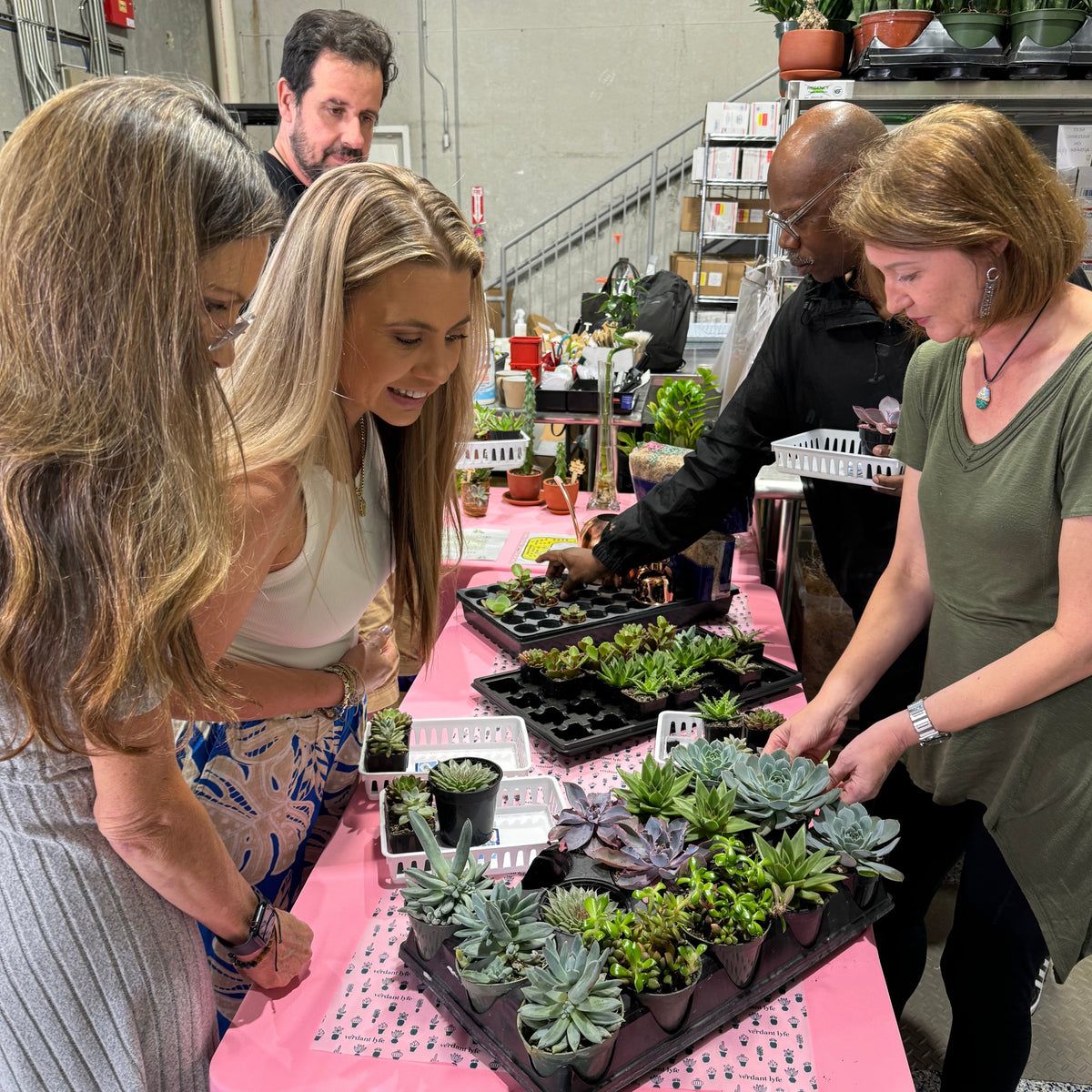 Succulent Arrangement Workshop - Thursday, January 29th 2026, at 6:00 pm