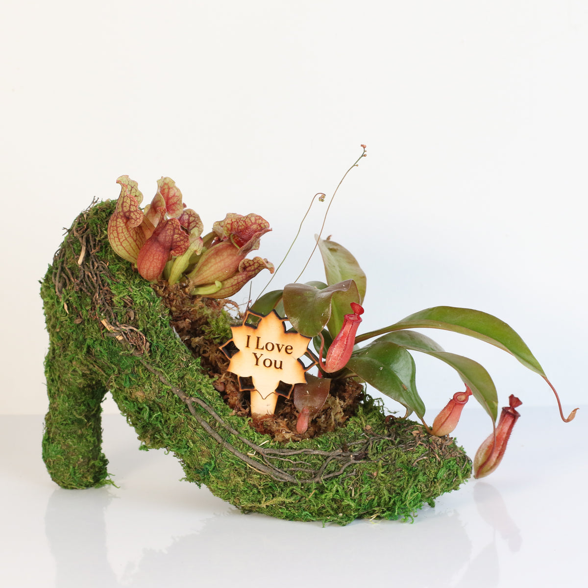 Carnivorous Chic in Heels Kit -DIY