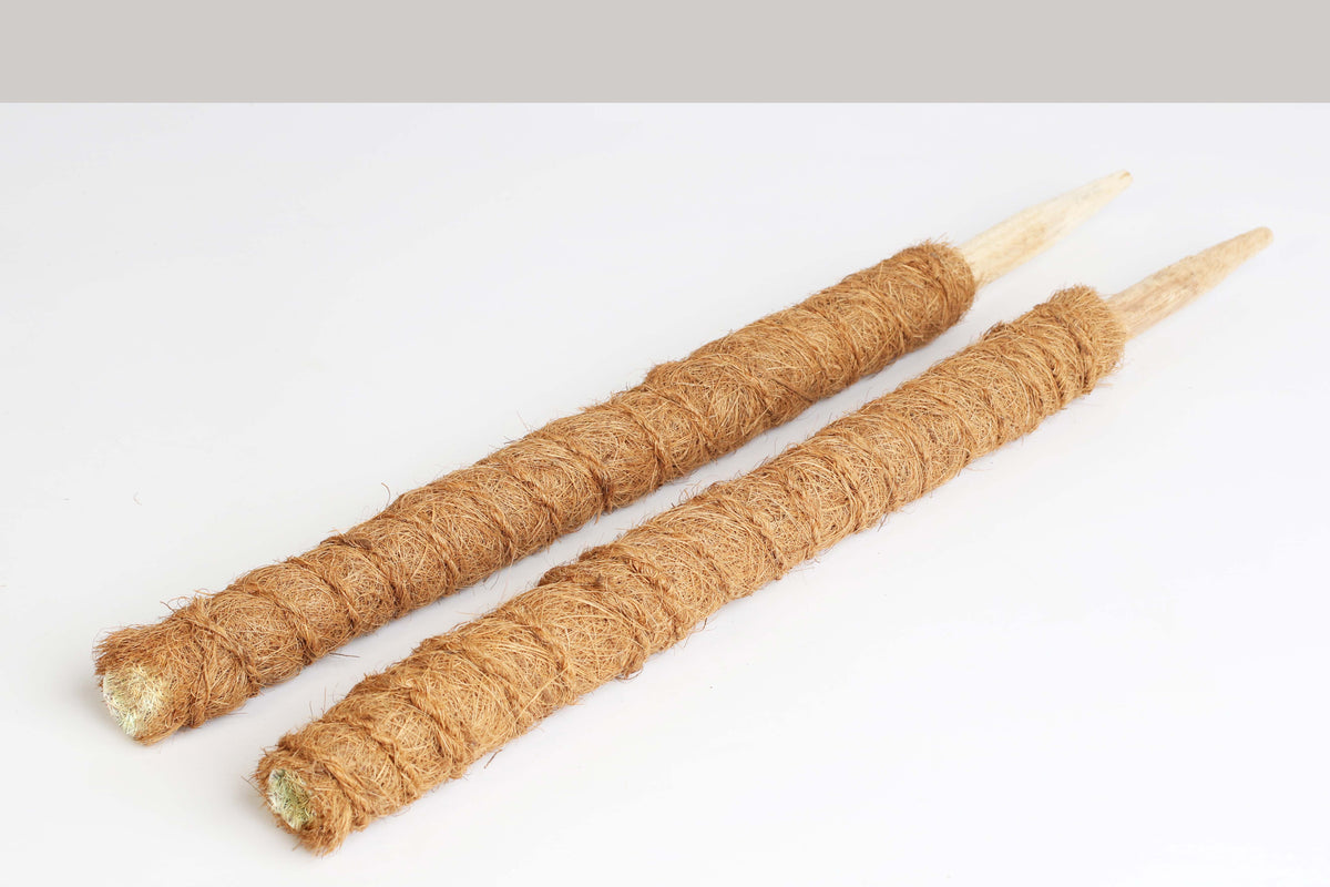 Stackable Coco Moss Pole