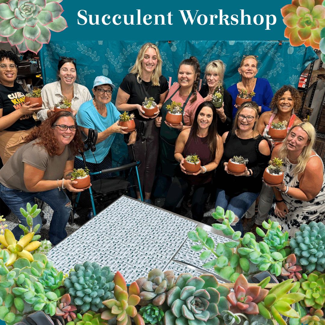 Succulent Arrangement Workshop - Thursday, January 29th 2026, at 6:00 pm