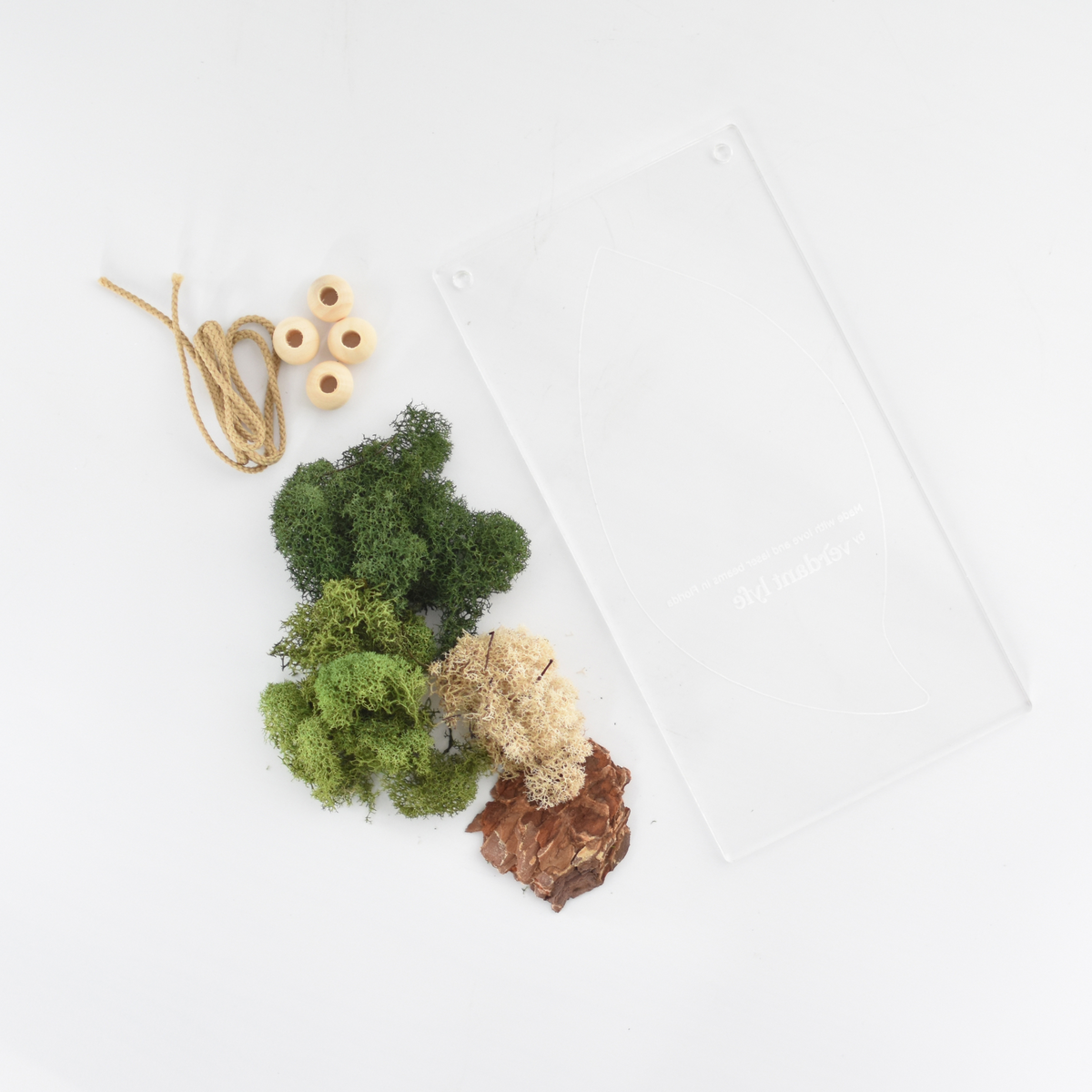 Moss Art DIY Kit Leaf Shape Hanging