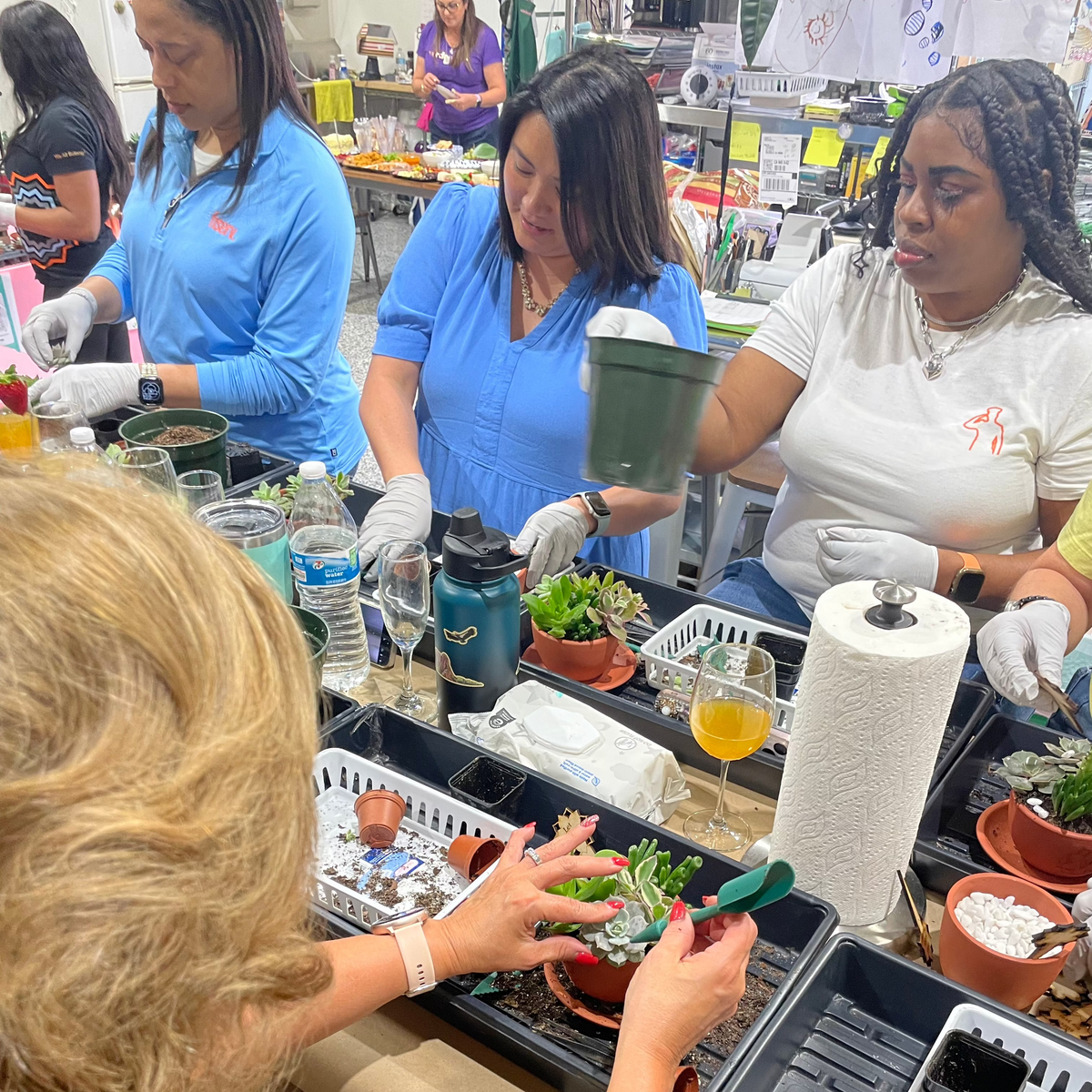 Succulent Arrangement Workshop - Thursday, January 29th 2026, at 6:00 pm