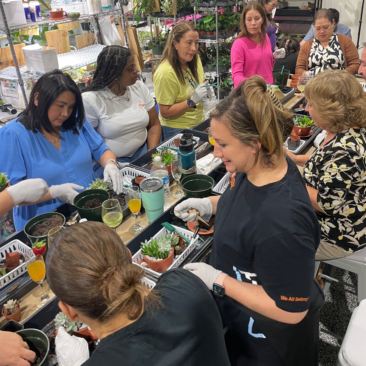 Succulent Arrangement Workshop - Thursday, January 29th 2026, at 6:00 pm