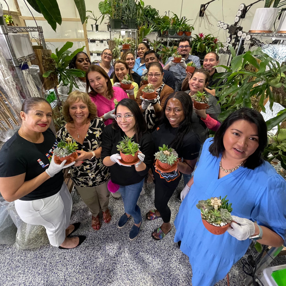 Succulent Arrangement Workshop - Thursday, January 29th 2026, at 6:00 pm