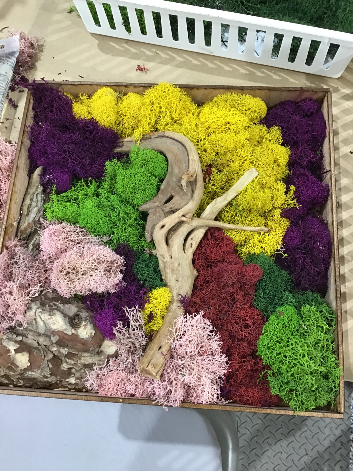 Moss Art Frame Workshop - Thursday, November 20th, 2025 at 6:00 pm