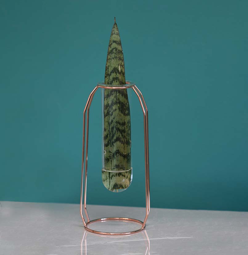 Lyfe Propagation Station - Single Tube Rose Gold Verdant Lyfe