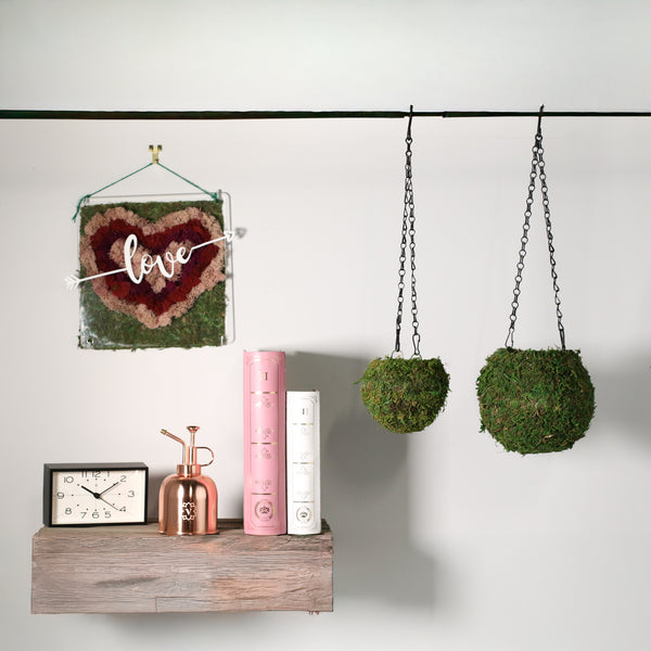 hanging moss ball planter Fresh Green Kokedama Moss Hanging Planter Ball 6