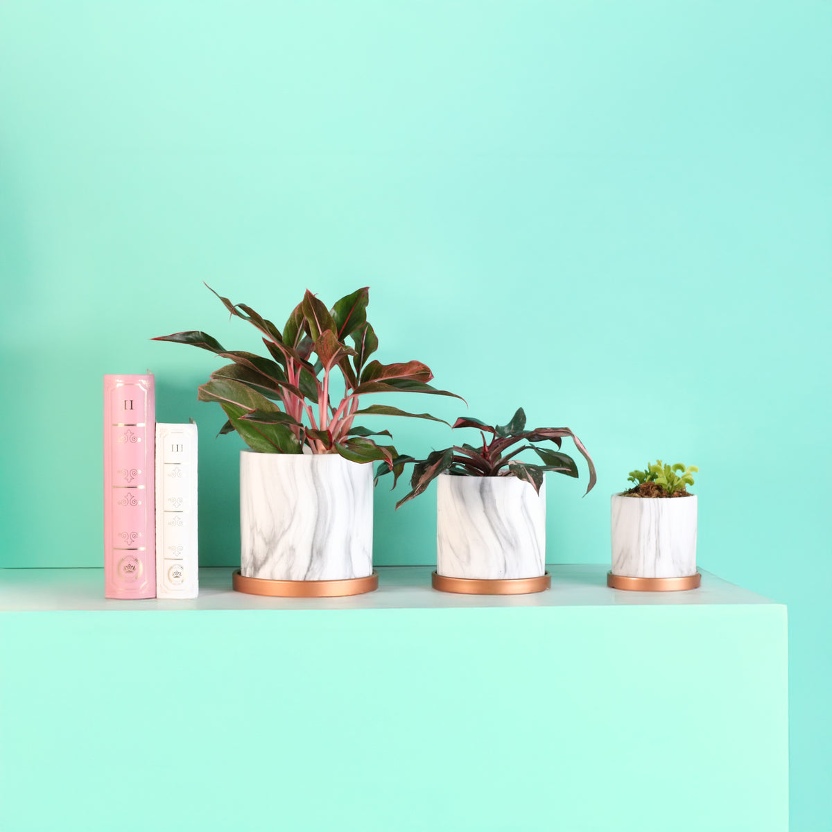 Daphne Ceramic 4.5" Planter - Empty