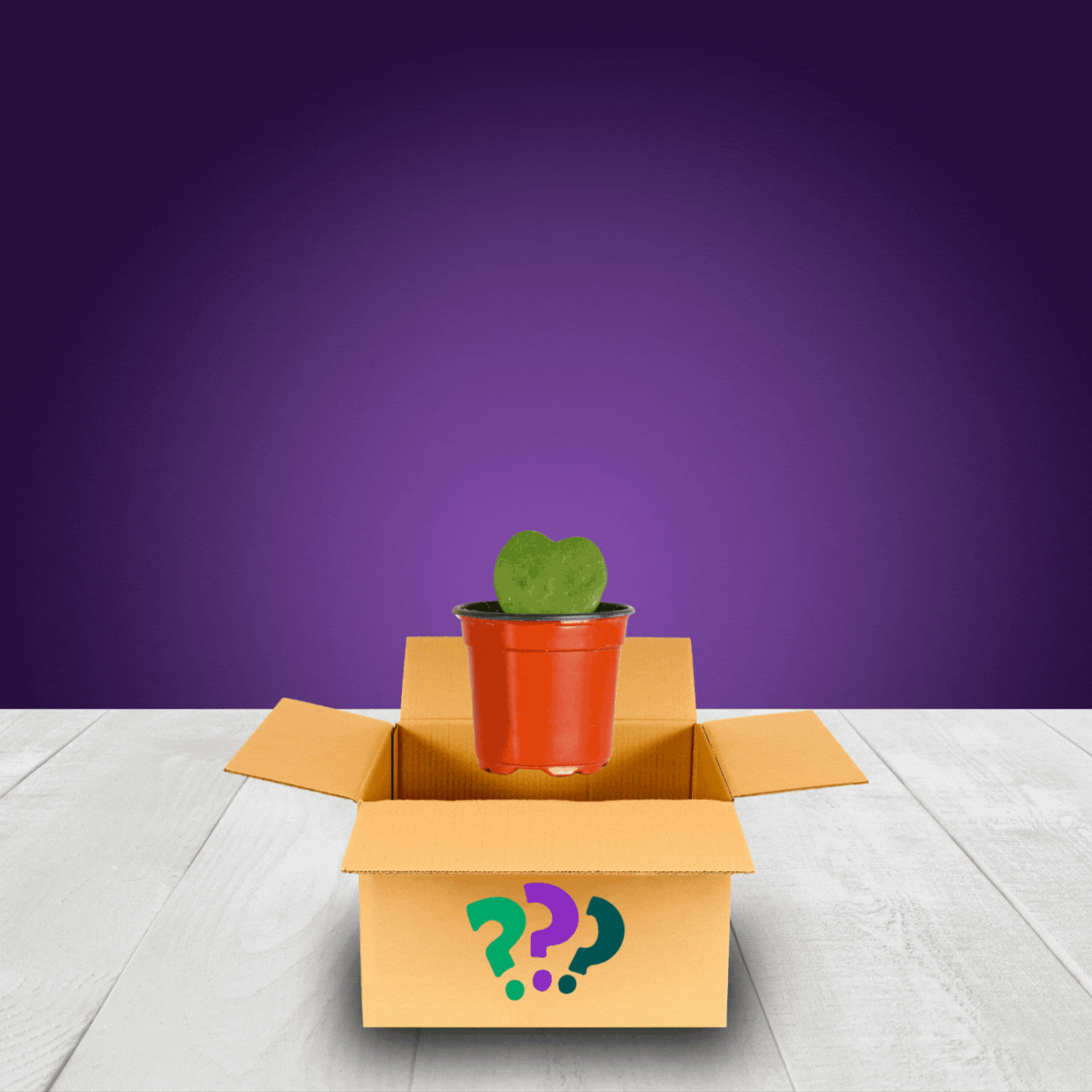 Growers Choice Mystery Nursery Pot Verdant Lyfe