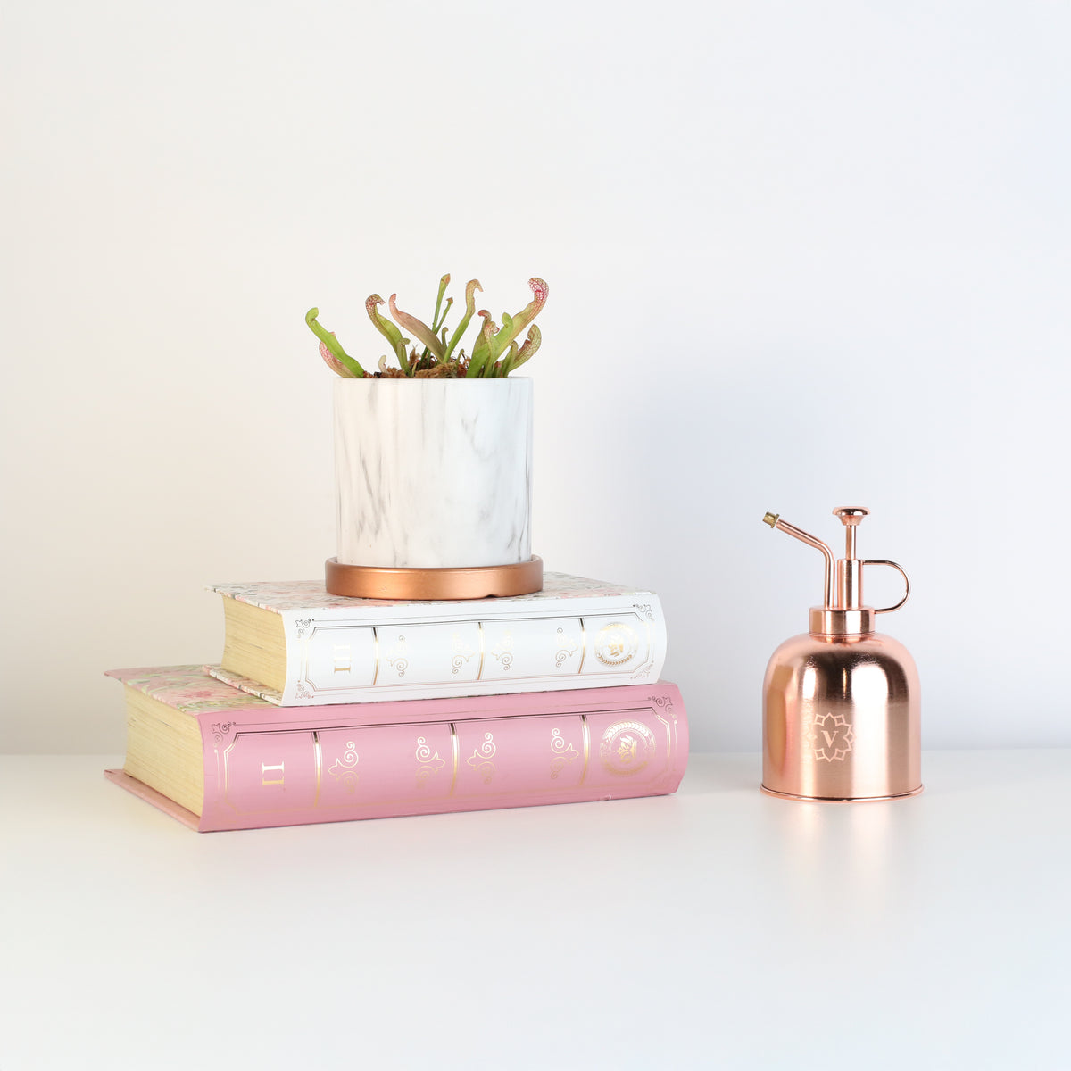 Scarlet Belle in Daphne Ceramic Planter 4.5" on top of books.