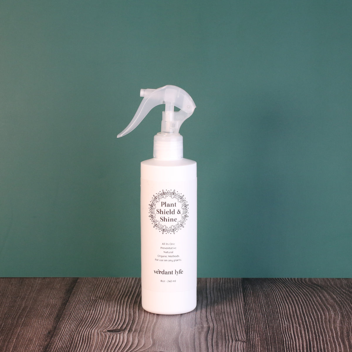 Purify Your Space, Naturally—Discover Hoya’s Power