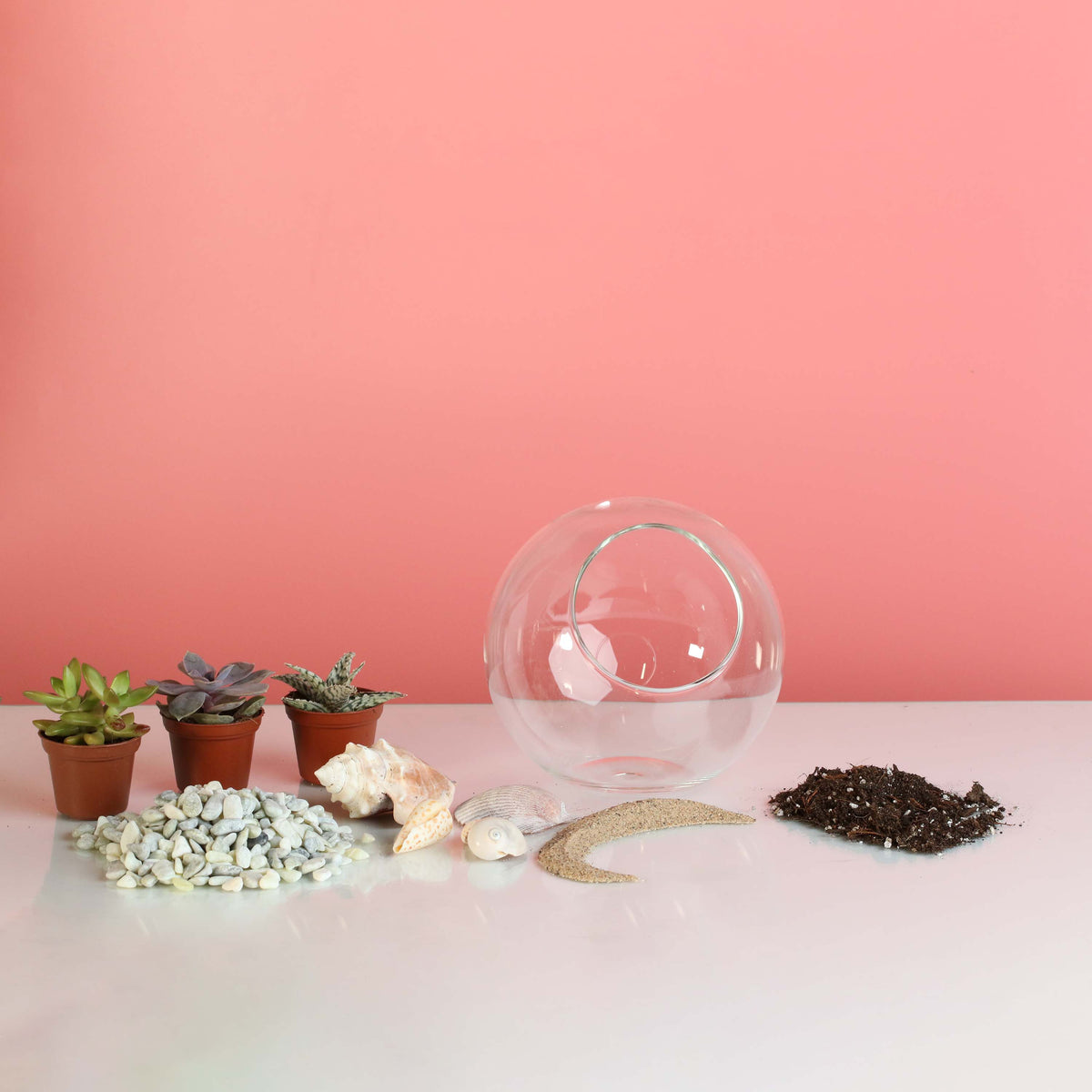 Terrarium Workshop - Thursday, April 16th 2026 at 6:00 pm
