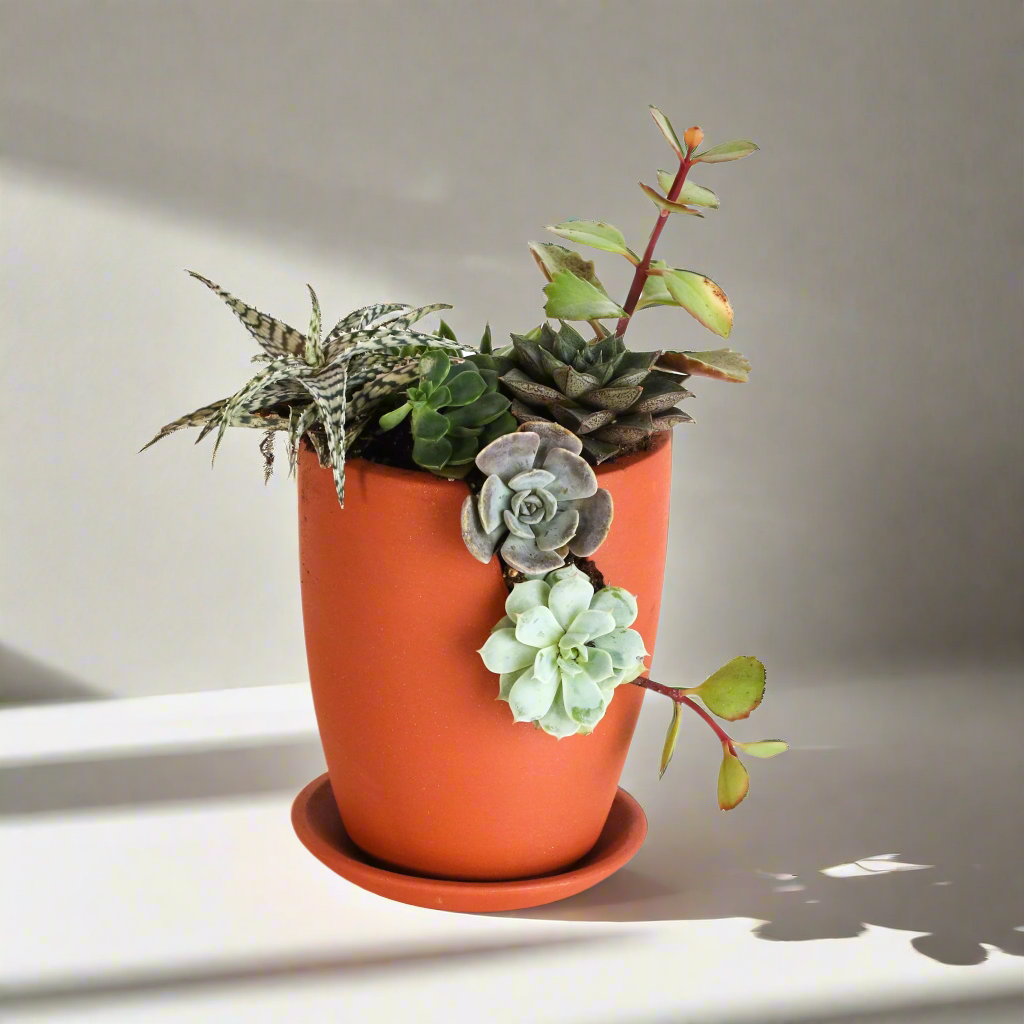 Nia-Terracotta Empty Planter