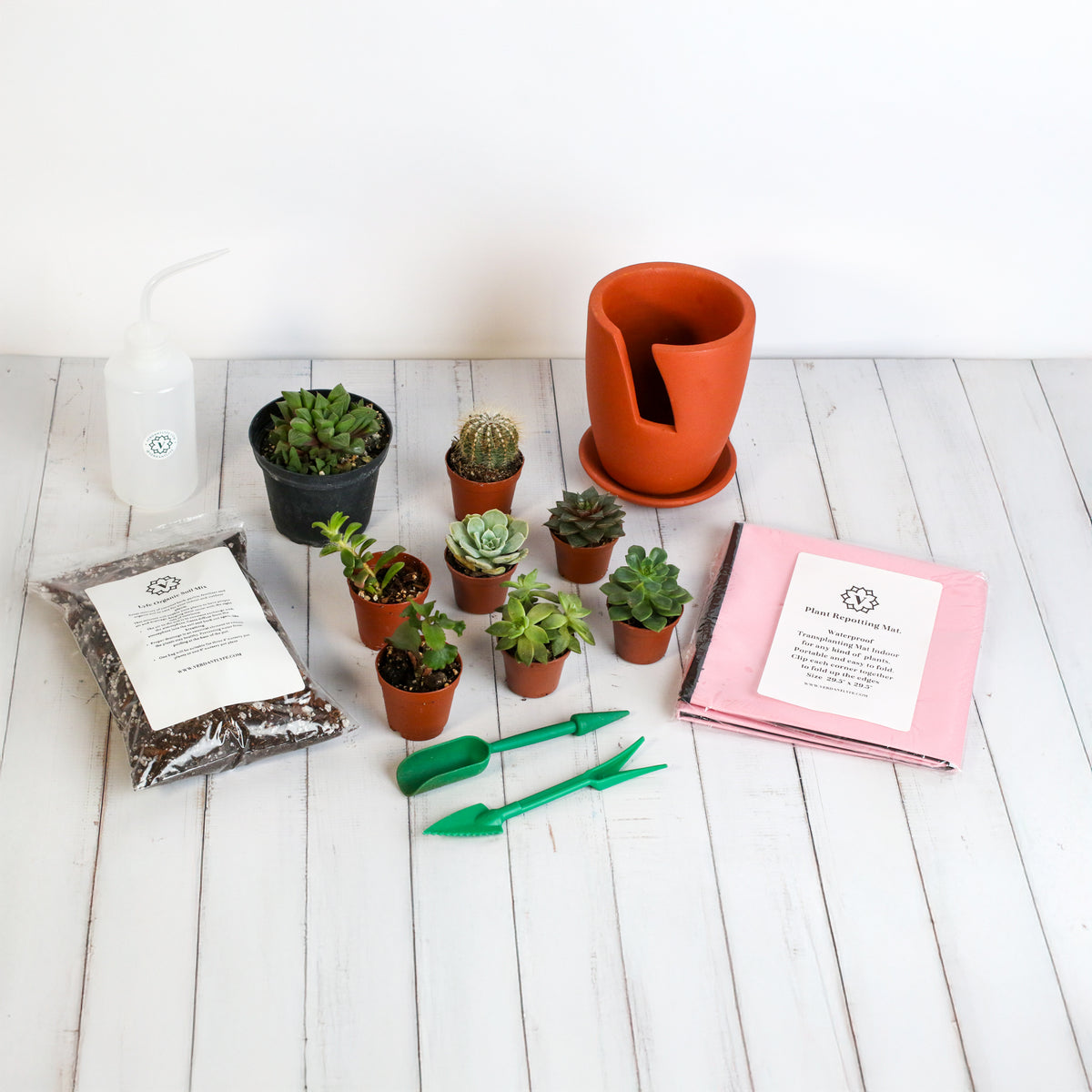 Succulent Terracotta Creations DIY Kit