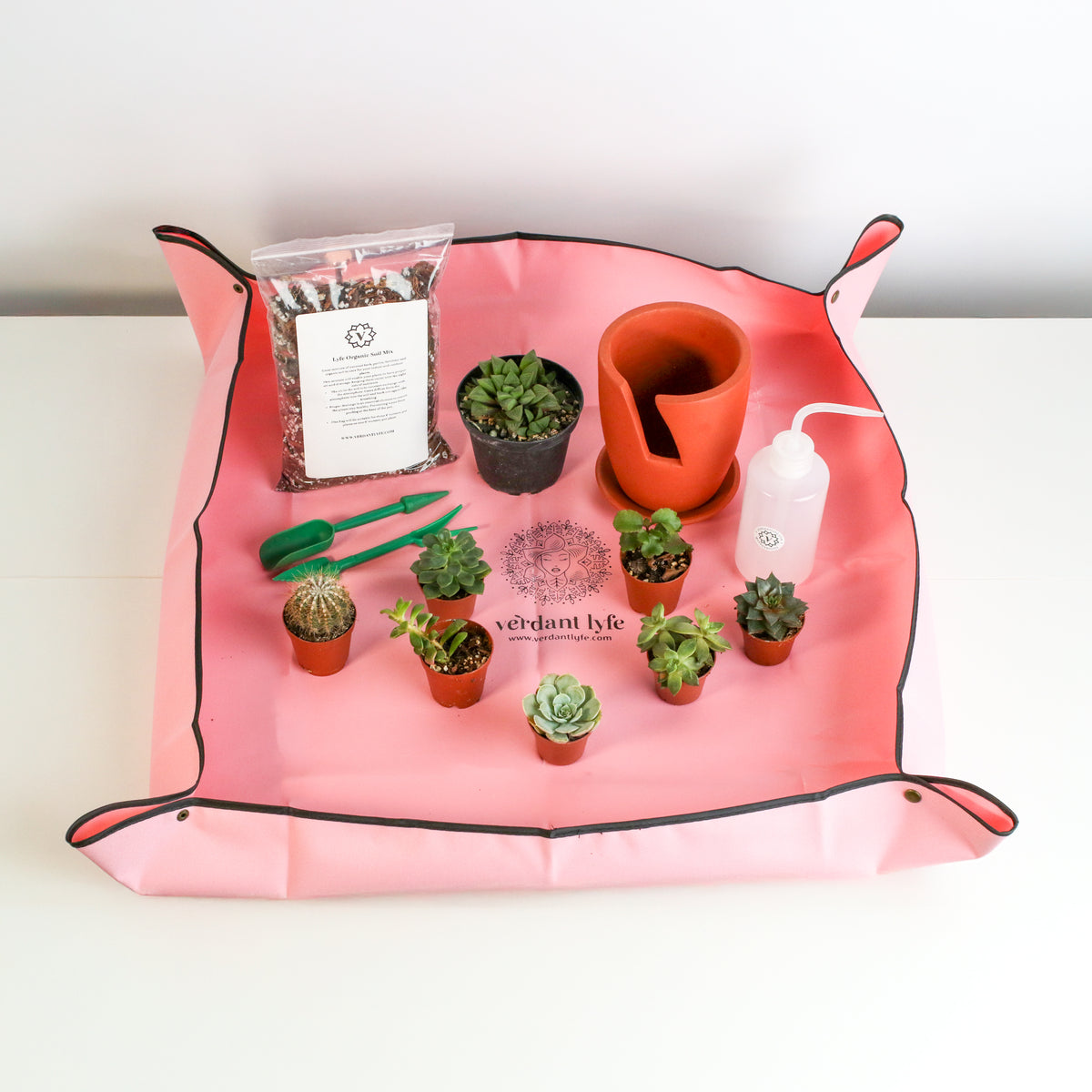 Succulent Terracotta Creations DIY Kit