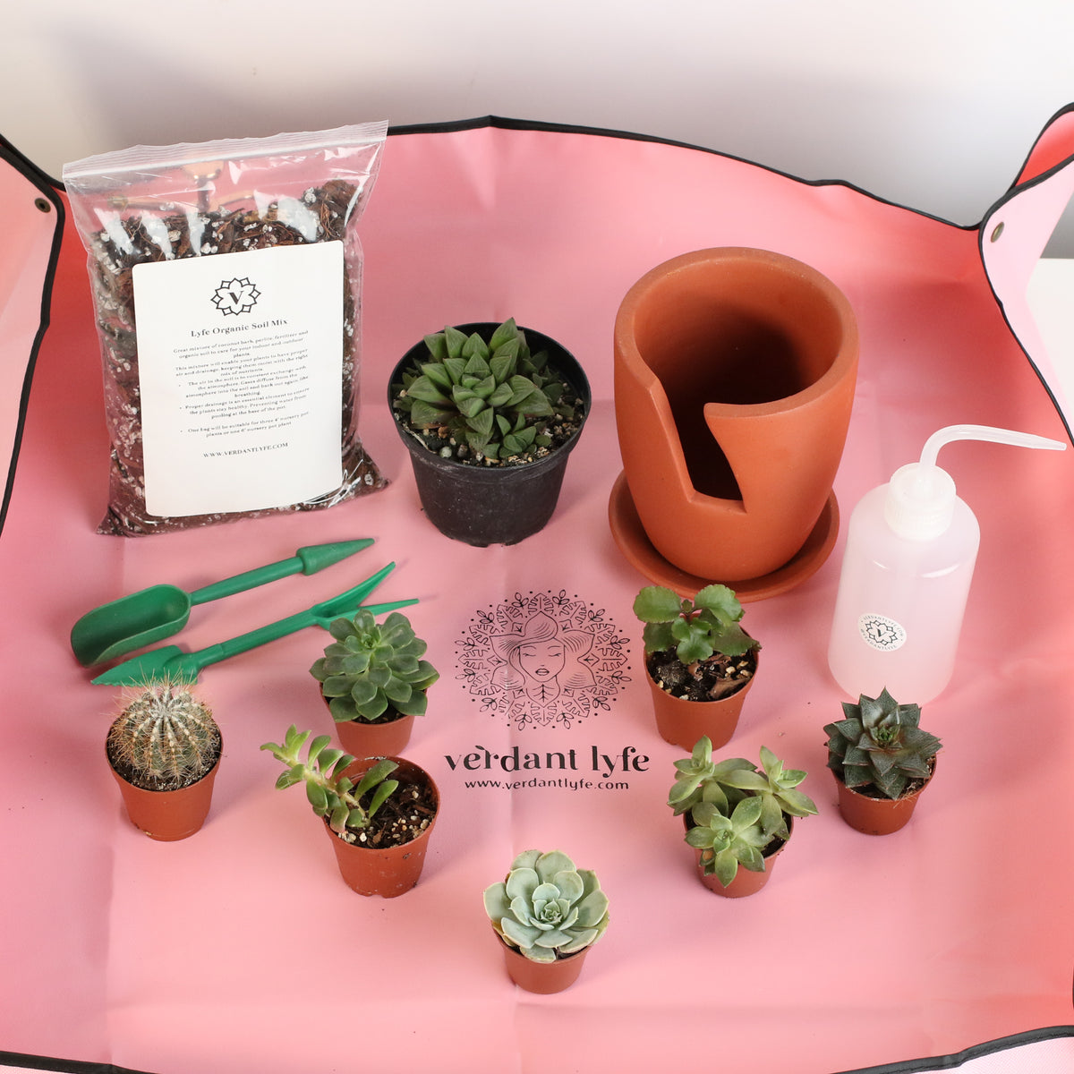 Succulent Terracotta Creations DIY Kit