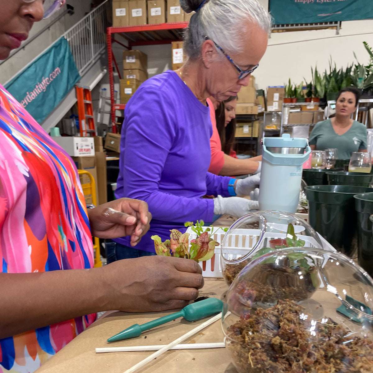 Terrarium Workshop - Thursday, April 16th 2026 at 6:00 pm