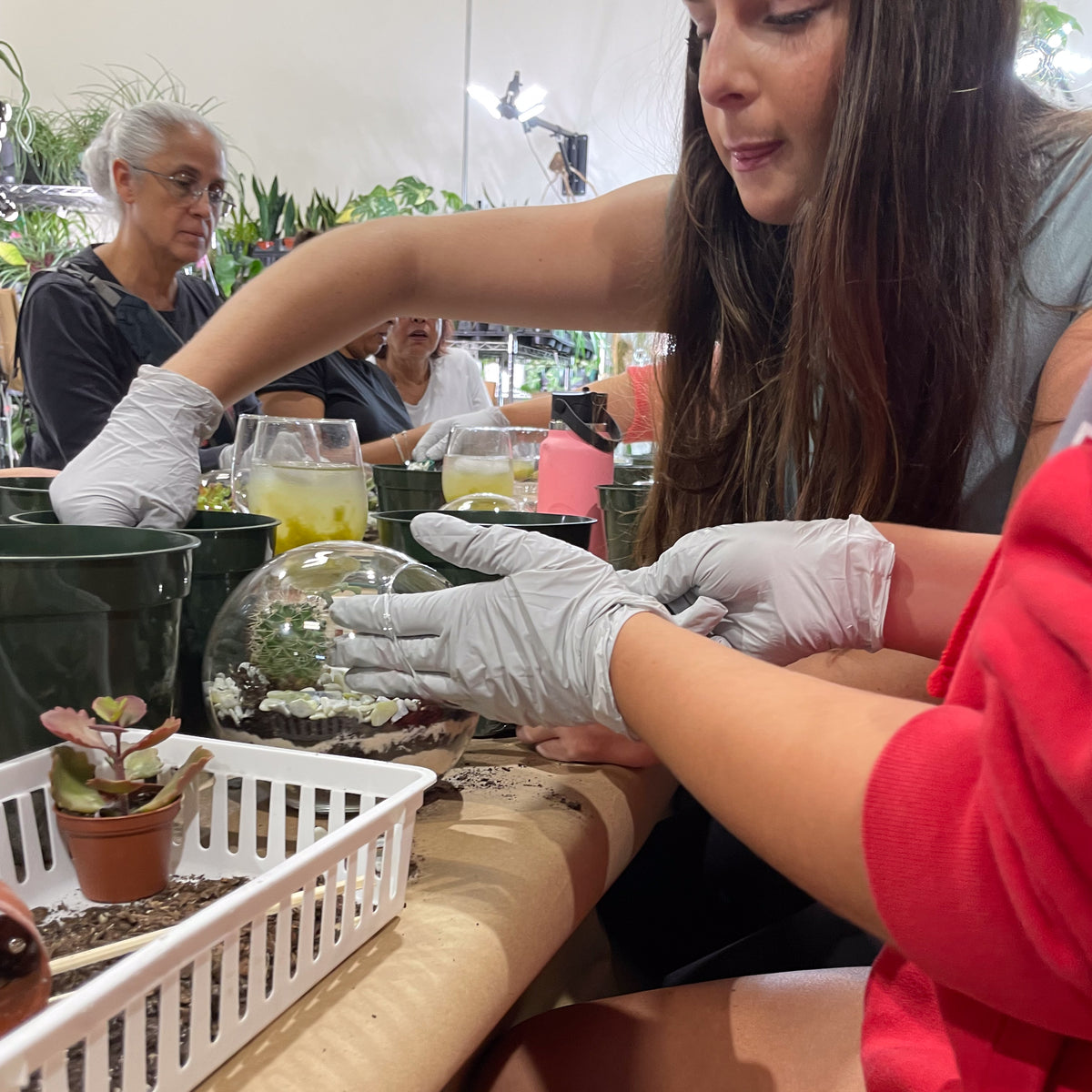 Terrarium Workshop - Thursday, April 16th 2026 at 6:00 pm