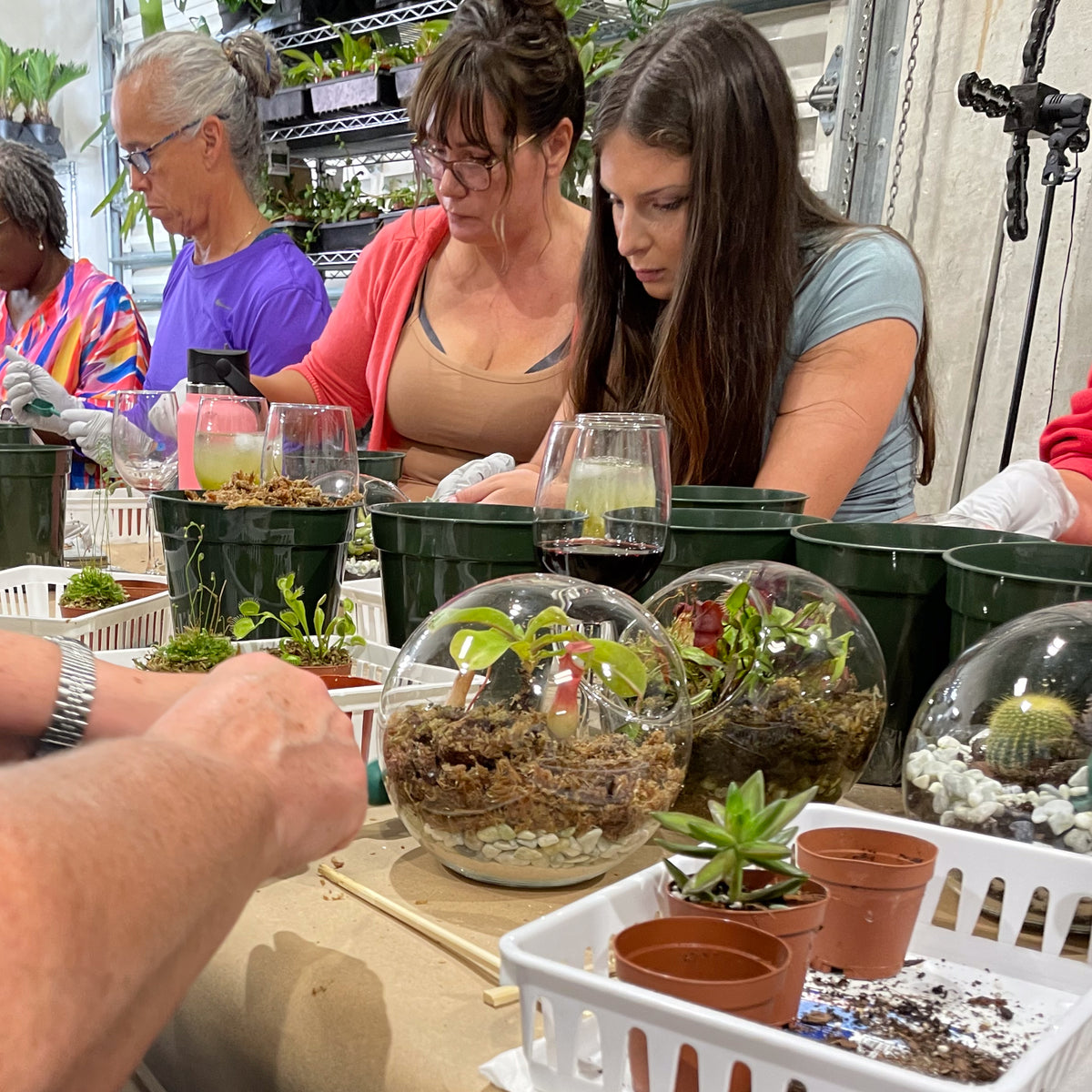 Terrarium Workshop - Thursday, April 16th 2026 at 6:00 pm
