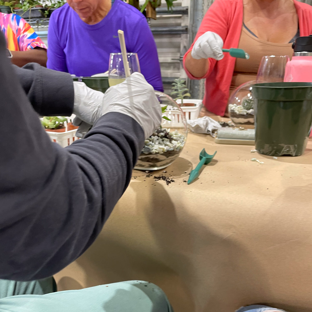 Terrarium Workshop - Thursday, April 16th 2026 at 6:00 pm