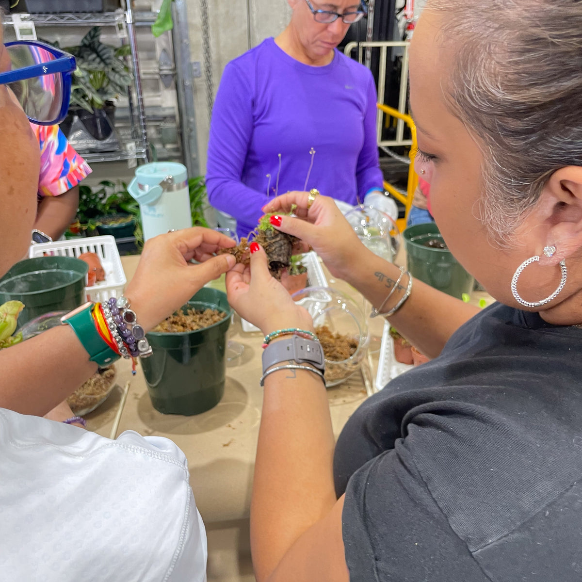 Terrarium Workshop - Thursday, April 16th 2026 at 6:00 pm