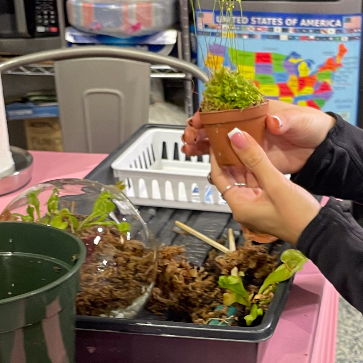 Terrarium Workshop - Thursday, April 16th 2026 at 6:00 pm