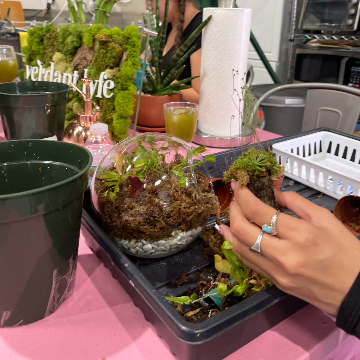 Terrarium Workshop - Thursday, April 16th 2026 at 6:00 pm