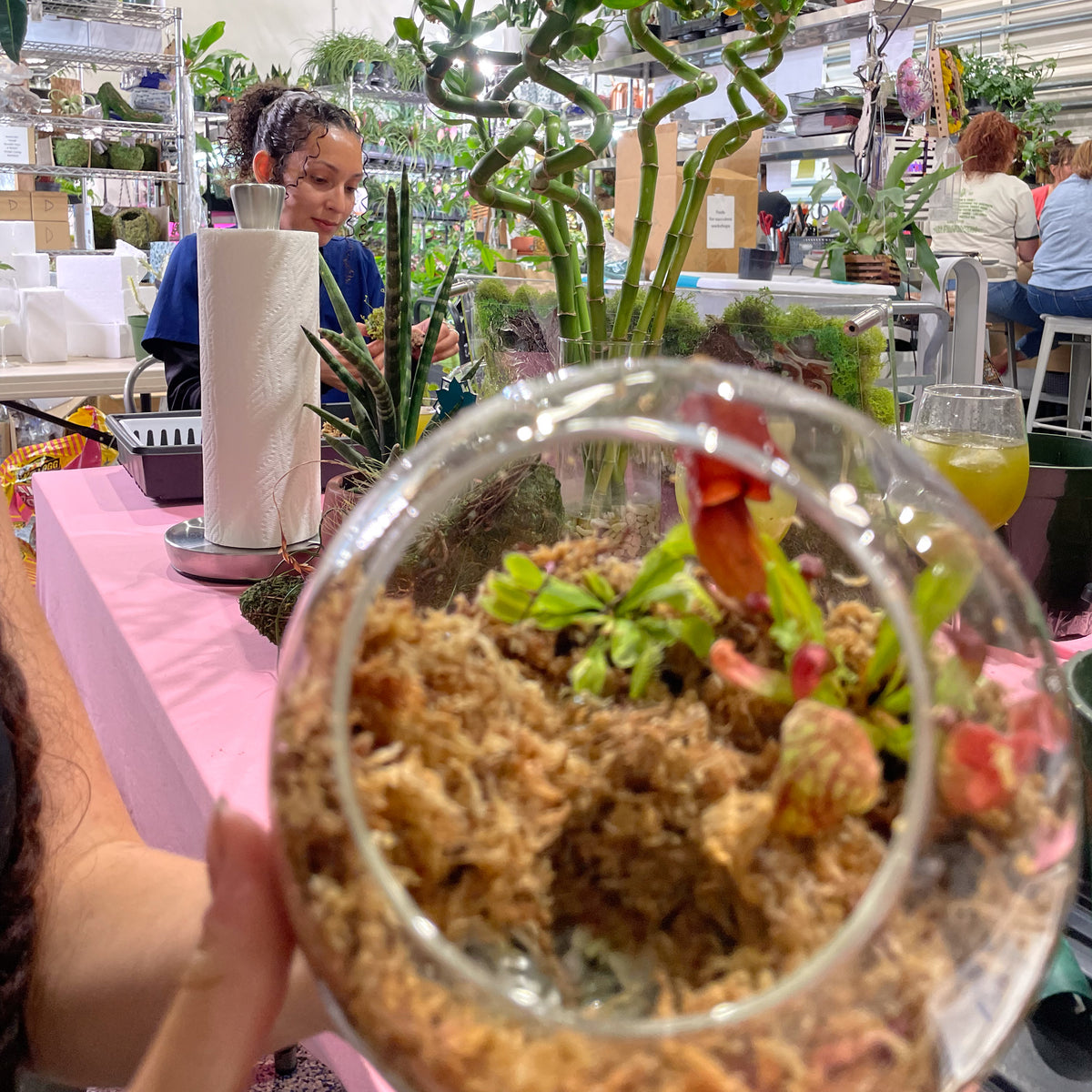 Terrarium Workshop - Thursday, April 16th 2026 at 6:00 pm