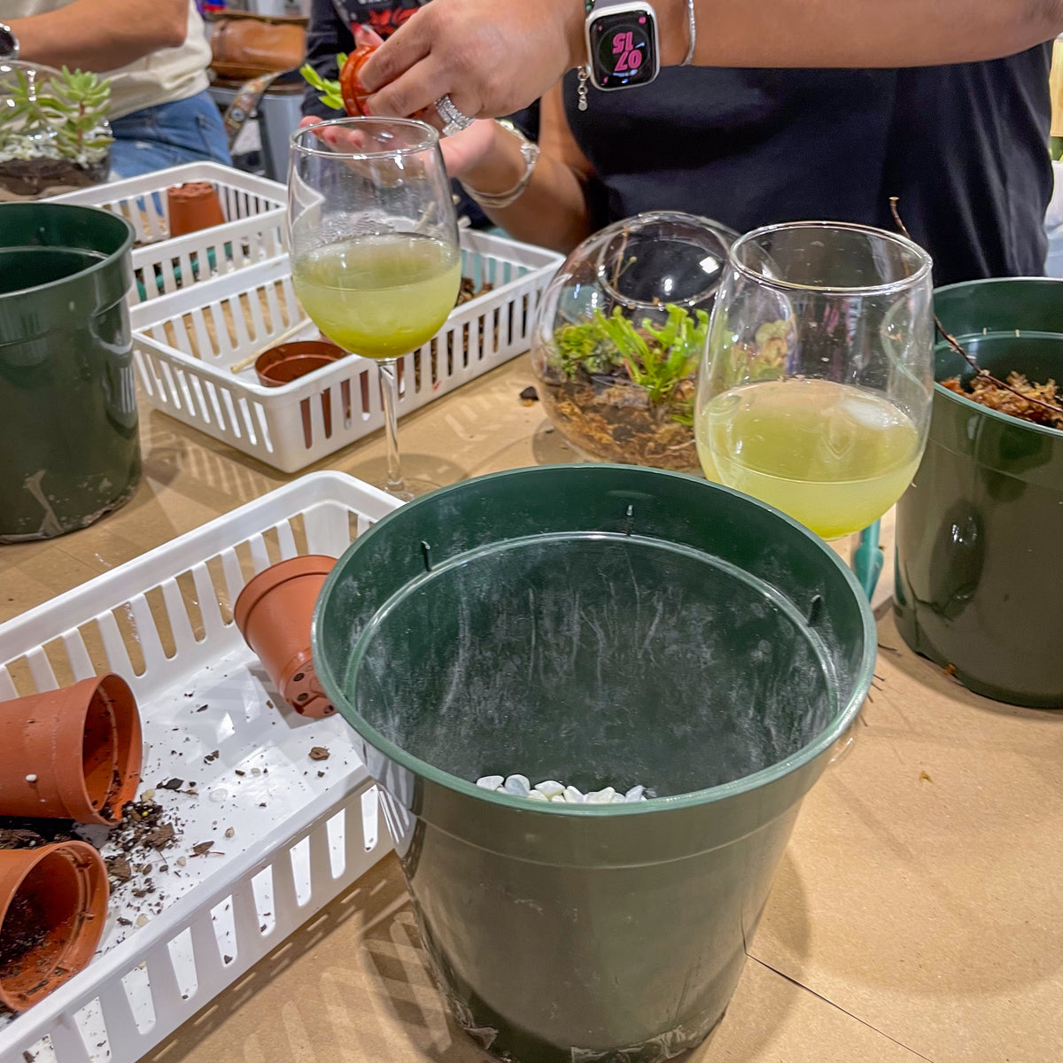 Terrarium Workshop - Thursday, April 16th 2026 at 6:00 pm