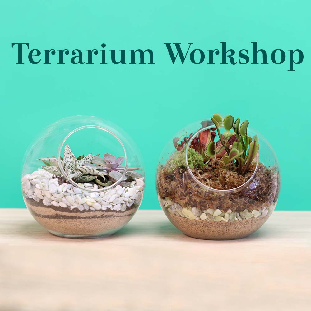 Terrarium Workshop - Thursday, April 16th 2026 at 6:00 pm