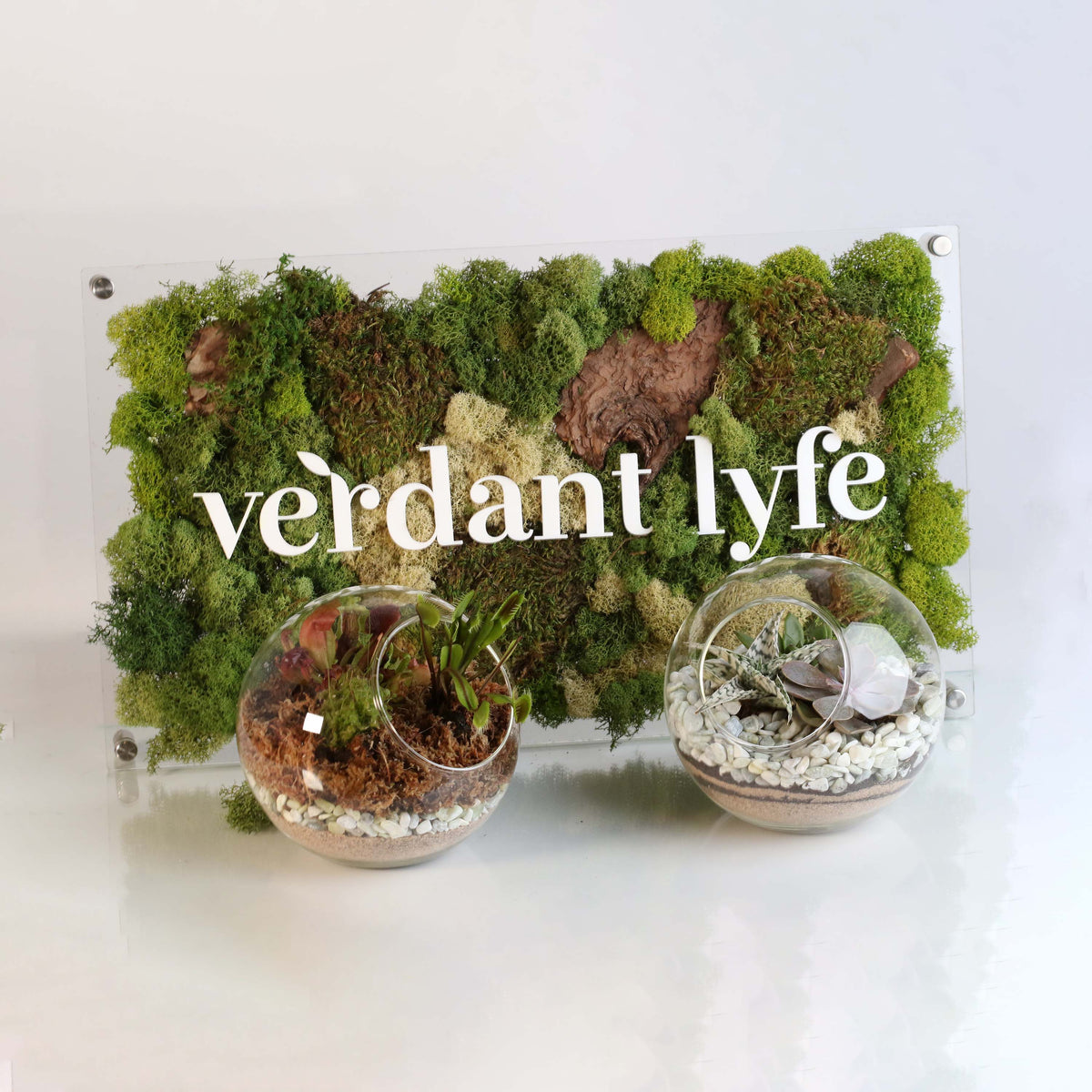 Terrarium Workshop - Thursday, April 16th 2026 at 6:00 pm