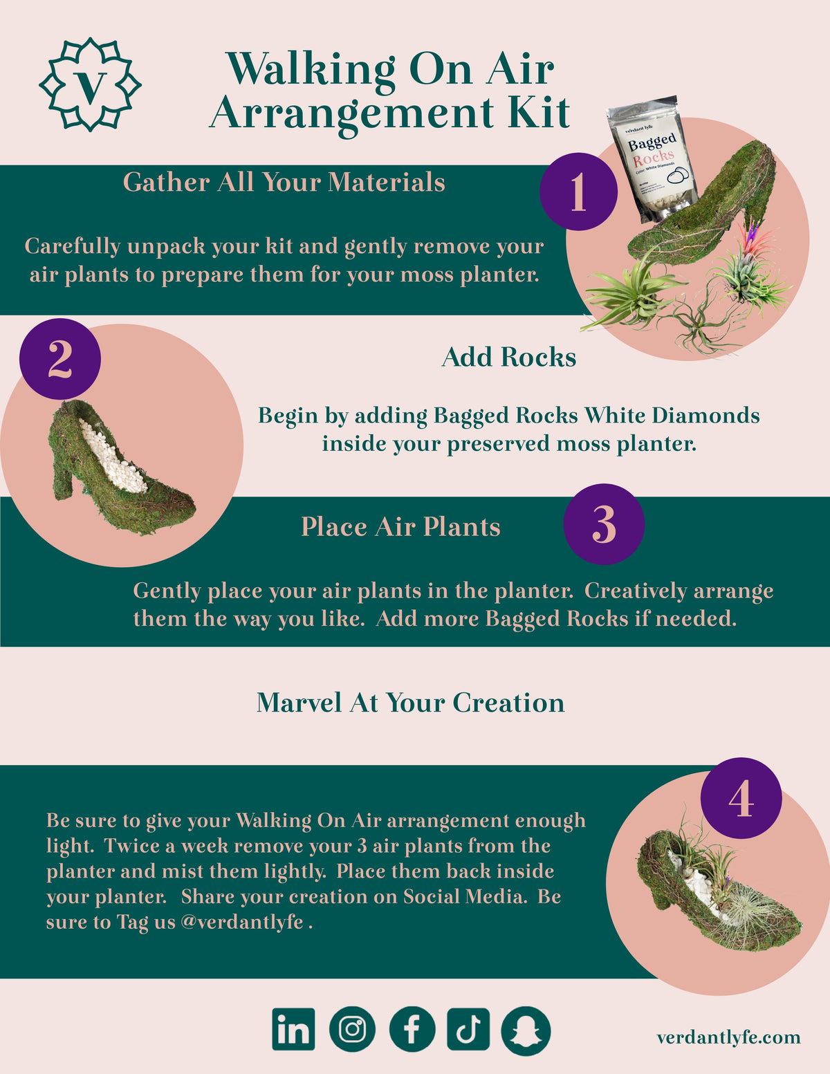 Stiletto Moss Planter Kit