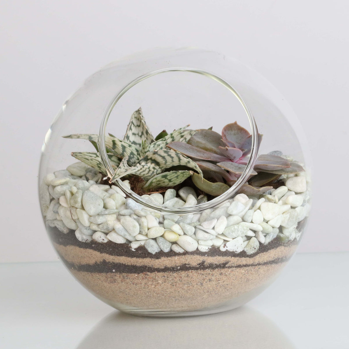 Terrarium Workshop - Thursday, April 16th 2026 at 6:00 pm