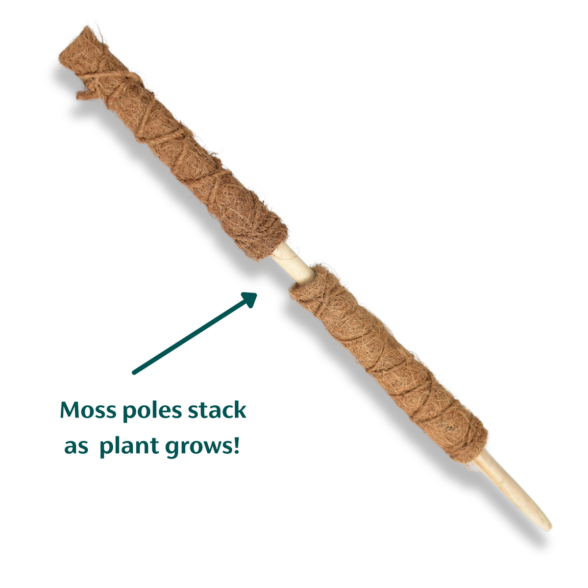Stackable Coco Moss Pole
