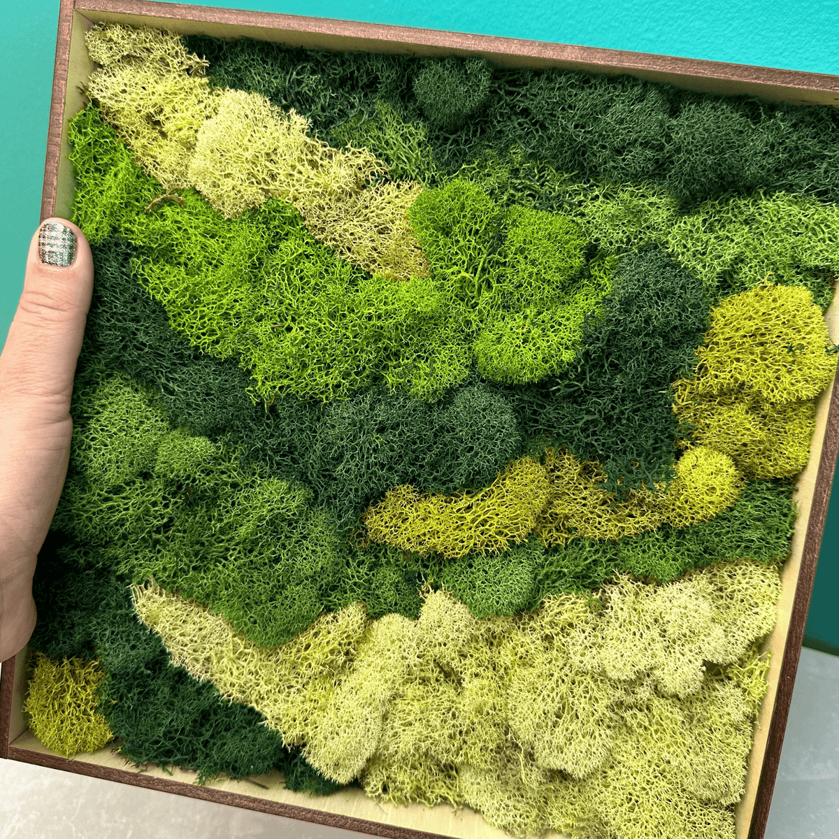 Moss Art Frame Workshop - Thursday, November 20th, 2025 at 6:00 pm