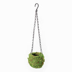 Fresh Green Kokedama Moss Hanging Planter Ball Verdant Lyfe