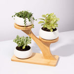 Grower's Choice Triple Layer Bamboo Stand - 4 Piece Planter Set Verdant Lyfe